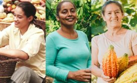 Cordillera Chocolates launches female-led sustainability program in Colombia