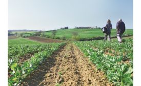 ECOCERT Group acquires CERTISYS, the Belgian body for organic certification