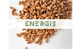 Guardian Technology by Energis announces pathogen reduction milestone in wheat tempering